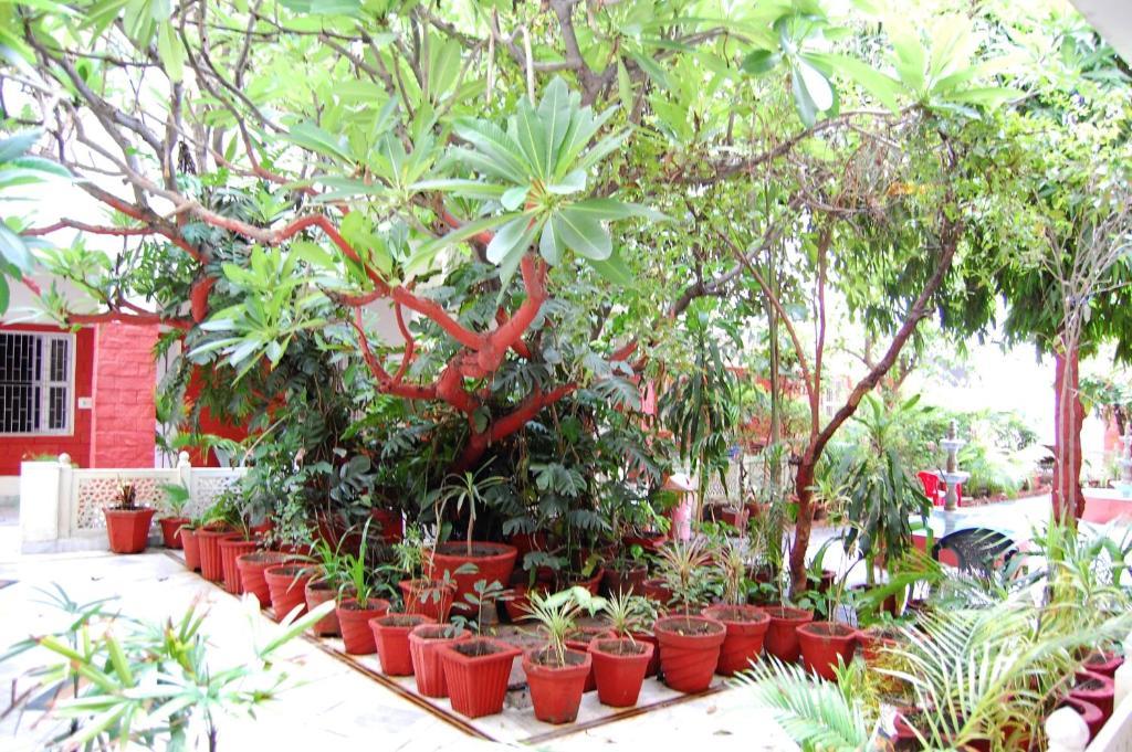 Hotel Tourist Rest House Agra Агра Экстерьер фото